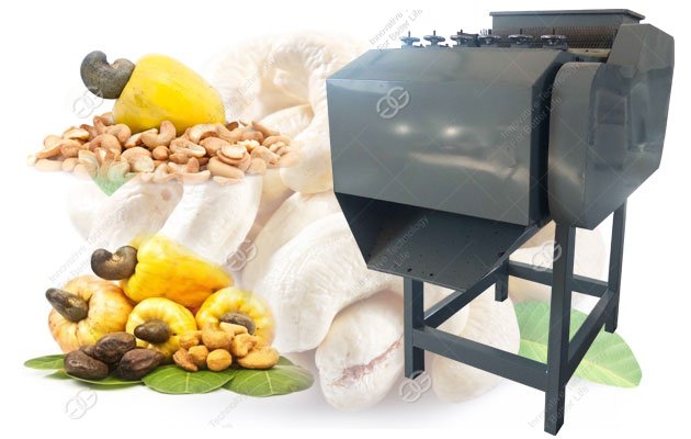 cashews shelling machine