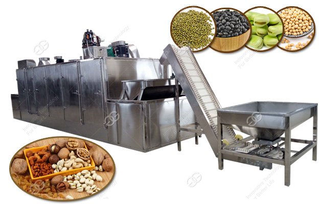 Continuous Sunflower Seeds Roasting Machine