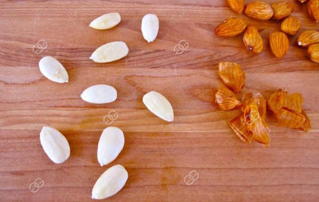 Blanched Almond